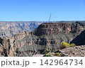 Grand Canyon Vista with Desert Plant Stalk 142964734