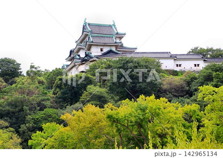 日本三大連立式天守の一つに数えられる歴史的な平山城…【和歌山城】の『天守閣』 日本三大連立式天守の一つに数えられる歴史的な平山城…【和歌山城】の『天守閣』 142965134