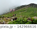 霧に包まれる登山道 142966616