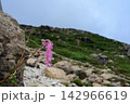 早池峰山の固有種ナンブトウウチソウ 142966619