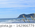 日本海に突き出た権現崎 142966779