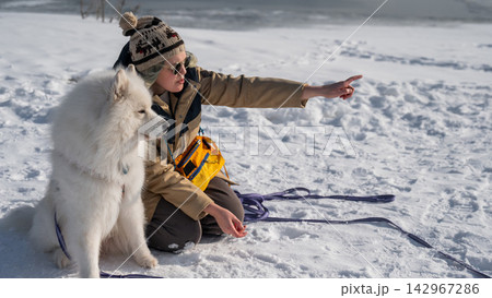 Young woman walking with fluffy samoyed dog in snowy winter park. Young woman walking with fluffy samoyed dog in snowy winter park. 142967286