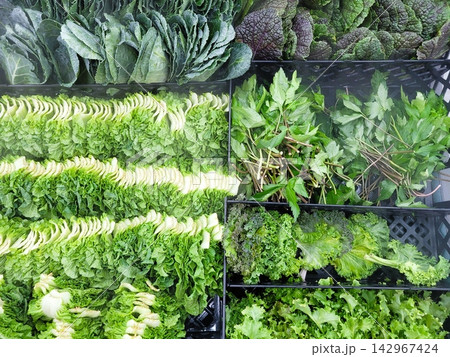 Variety of Fresh Green Leafy Vegetables in Refrigerator Display Variety of Fresh Green Leafy Vegetables in Refrigerator Display 142967424