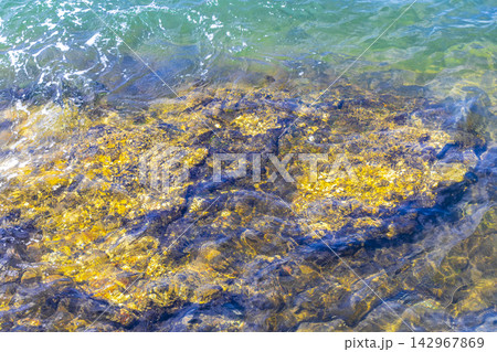 Shells mussels on rocks boulders in turquoise blue water Brazil. 142967869
