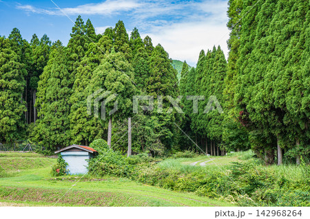 奥琵琶湖の田園風景　集福寺地区　滋賀県長浜市西浅井町 142968264