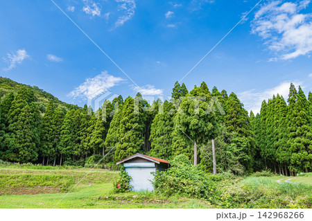 奥琵琶湖の田園風景　集福寺地区　滋賀県長浜市西浅井町 142968266