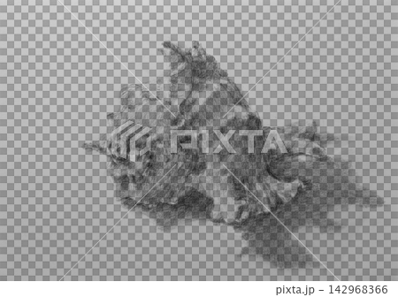 Tengu shell (Murex shell) 142968366