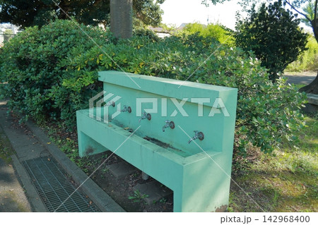 公園のコンクリート製水飲み場と複数の蛇口 屋外の公共施設 142968400