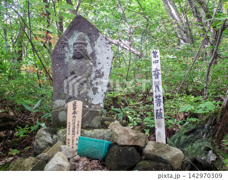 第四普賢菩薩 142970309