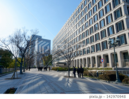 大阪 中之島公園 大阪市役所と高層ビル 大阪 中之島公園 大阪市役所と高層ビル 142970948