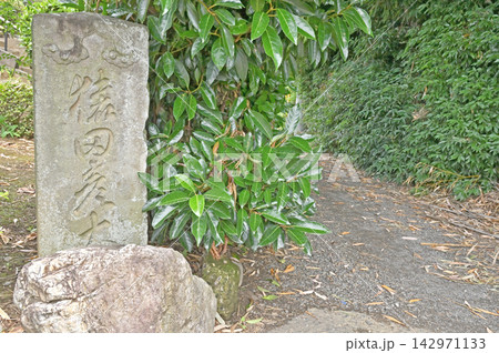 岩槻散歩:庚申搭 道しるべ 岩槻散歩:庚申搭 道しるべ 142971133