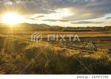 夕陽と自転車 夕陽と自転車 142971780
