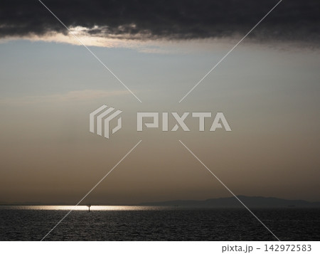 光る海 光る海 142972583