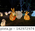 Hong Kong Mid-Autumn Festival illuminated rabbit lantern display in park at night 142972974