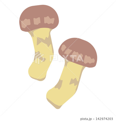 松茸のイラスト 松茸のイラスト 142974203