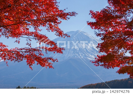 紅葉越しに望む秋の河口湖と富士山 紅葉越しに望む秋の河口湖と富士山 142974276