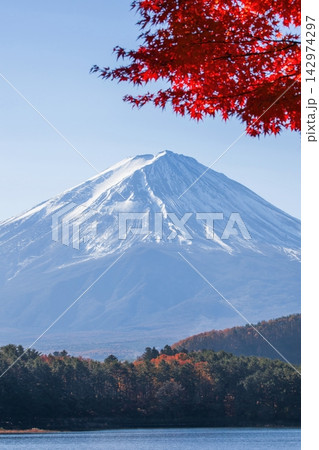 紅葉越しに望む秋の河口湖と富士山 紅葉越しに望む秋の河口湖と富士山 142974297