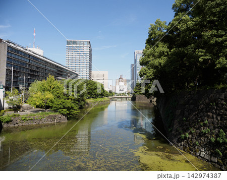 皇居の堀端に広がる静かな水辺の風景 皇居の堀端に広がる静かな水辺の風景 142974387
