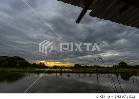 A view from the old hut tall grass beside the wide pond, and dark clouds at dusk A view from the old hut tall grass beside the wide pond, and dark clouds at dusk 142975812