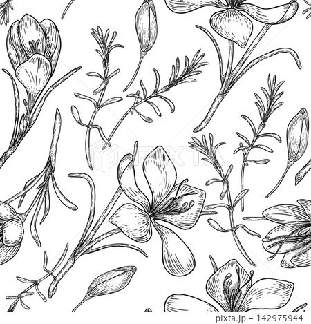 Crocus blooms monochrome vector seamless pattern. Saffron flowers and leaves black white repeat background. Ink sketch print of first spring floral elements for textile design. Easter botany print. Crocus blooms monochrome vector seamless pattern. Saffron flowers and leaves black white repeat background. Ink sketch print of first spring floral elements for textile design. Easter botany print. 142975944