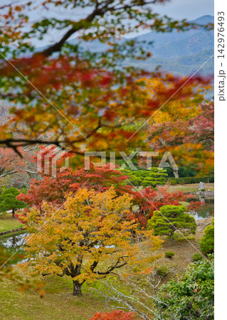 秋の京都／修学院離宮 142976493