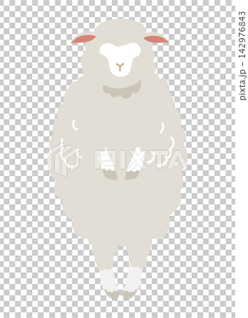 シンプルな羊のイラスト 142976843