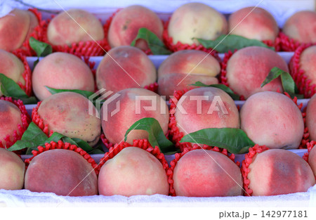 red peaches in the snow red peaches in the snow 142977181