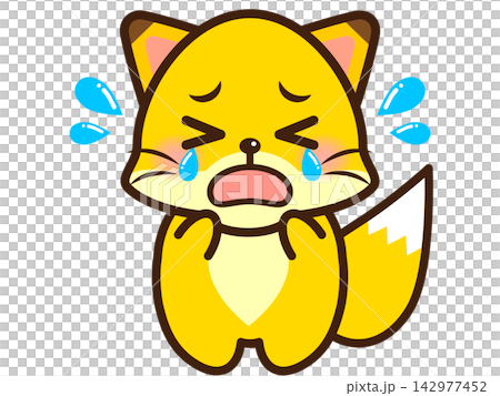 狐狸插畫素材 5 狐狸插畫素材 5 142977452