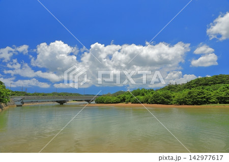鮮やかなグリーンの沖縄の慶佐次湾のヒルギ林の景色 鮮やかなグリーンの沖縄の慶佐次湾のヒルギ林の景色 142977617
