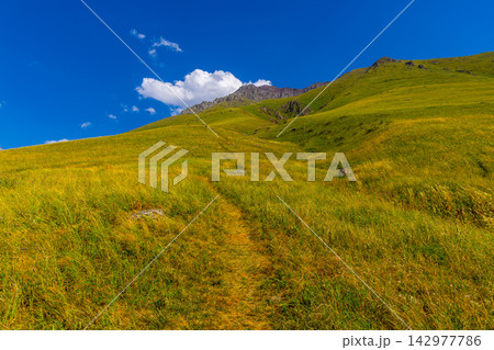 Winding Dirt Path Through Mountain Meadow in Kyrgyzstan Winding Dirt Path Through Mountain Meadow in Kyrgyzstan 142977786