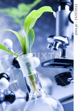 Plant Biotechnology Research with Seedling and Microscope Plant Biotechnology Research with Seedling and Microscope 142978322
