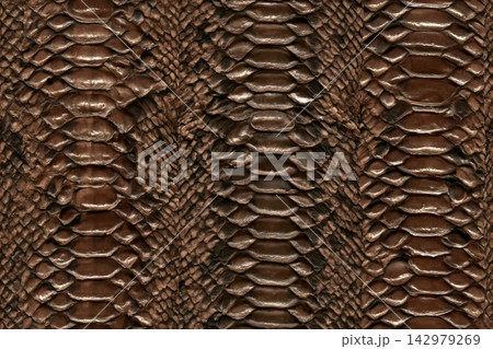Seamless snake texture, python skin, crocodile texture, leather, animal skin. 142979269