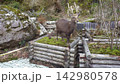 ここに立つのが落ち着くんです　I feel at ease standing here.　 142980578