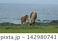 最果ての島に生きる　Living on a Remote Island 142980741