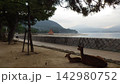鳥居を望む特等席　A prime seat with a view of the torii gat 142980752