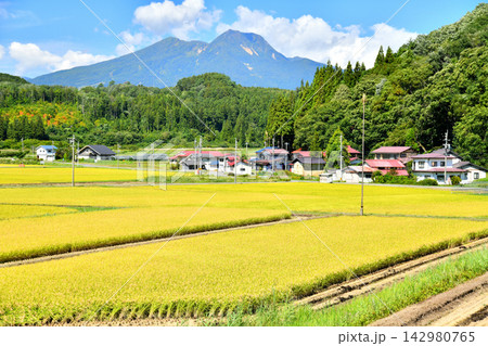 長野県信濃町富濃より妙高山方面を望む(長野県信濃町)【2026.9】 142980765