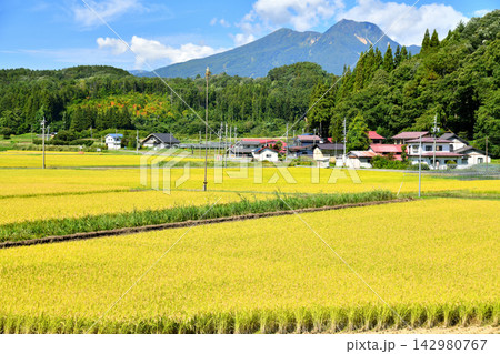 長野県信濃町富濃より妙高山方面を望む(長野県信濃町)【2026.9】 長野県信濃町富濃より妙高山方面を望む(長野県信濃町)【2026.9】 142980767