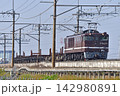 武蔵野線　東川口－南越谷　JR東日本　EF64-1052（高崎）＋短尺レールチキ 142980891