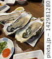 おいしい殻付きの生カキ 142981280