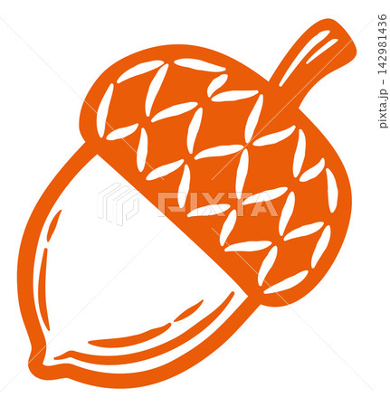 Acorn Oak Seed Nut Doodle Hand Drawn Style Design Acorn Oak Seed Nut Doodle Hand Drawn Style Design 142981436