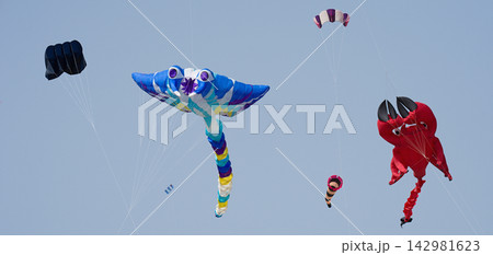 Colorful kites flying in the sky during a festival Colorful kites flying in the sky during a festival 142981623