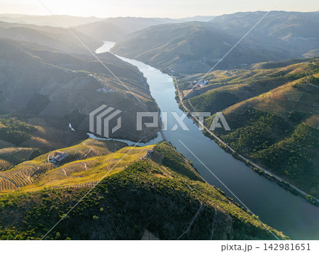 Aerial Douro River Bend and Vineyard Hills Portugal 142981651