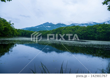 知床五湖 知床五湖 142981767