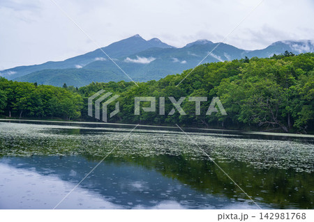知床五湖 知床五湖 142981768