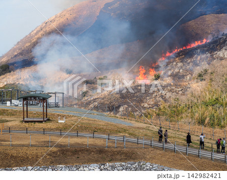 北九州市のカルスト台地平尾台の野焼きと見学する人物 北九州市のカルスト台地平尾台の野焼きと見学する人物 142982421