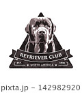 Retriever Club Logo Vector. Vintage Dog Illustration 142982920