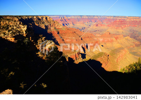 Grand Canyon Arizona Grand Canyon Arizona 142983041