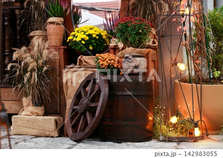 Cozy cottage core porch decorated vintage wooden barrel and autumn flowers for Thanksgiving vibe season time Cozy cottage core porch decorated vintage wooden barrel and autumn flowers for Thanksgiving vibe season time 142983055