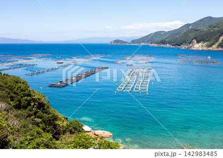 【柏島】真夏の透き通るエメラルドグリーンの海 【柏島】真夏の透き通るエメラルドグリーンの海 142983485