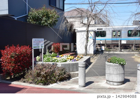 神奈川県座間市 相模が丘仲よし小道「さくら百華の道」と小田急小田原線 神奈川県座間市 相模が丘仲よし小道「さくら百華の道」と小田急小田原線 142984088